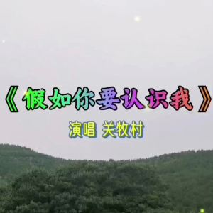 假如你要认识我钢琴简谱 数字双手
