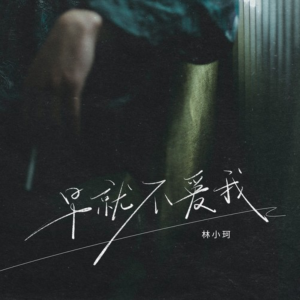 早就不爱我-钢琴谱