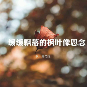 枫 C调简易钢琴弹唱伴奏 带歌词 周杰伦 流行经典-钢琴谱