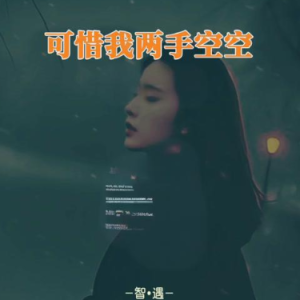 可惜我两手空空 C调简易版 张艺迈-钢琴谱