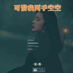 可惜我两手空空钢琴简谱 数字双手