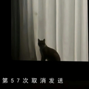 第57次取消发送 （四手联弹）-菲菲公主-钢琴谱