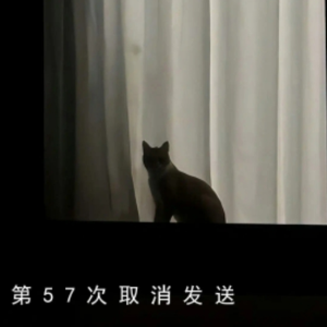 第57次取消发送 （四手联弹）G调 -菲菲公主-钢琴谱