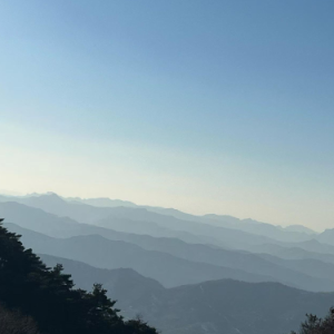 远山少年钢琴简谱 数字双手