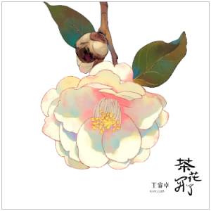 茶花开了（原调B、王睿卓、全新精编+完整版）-钢琴谱