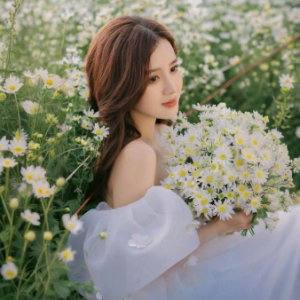 菊花爆满山 C调简易版-钢琴谱