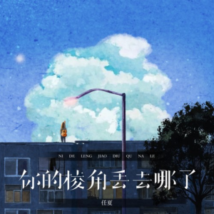 你的棱角丢去哪了钢琴简谱 数字双手 任夏
