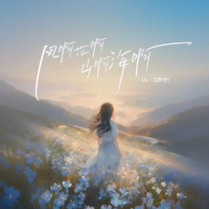 风啊花啊山啊海啊  原调简易版-钢琴谱