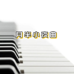 月半小夜曲-钢琴谱