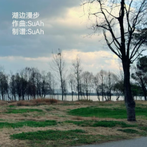 湖边漫步 钢琴独奏-钢琴谱