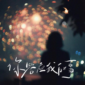 你答应我的事 原调简易版 陈墨一-钢琴谱