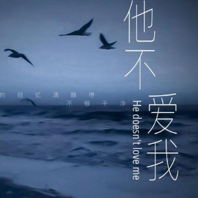 他不爱我 C调简易钢琴弹唱伴奏 带歌词 莫文蔚-钢琴谱