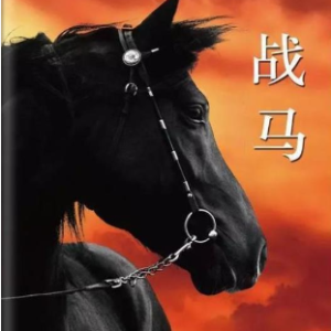 战马 C调简易版 抖音热门流行歌词-钢琴谱