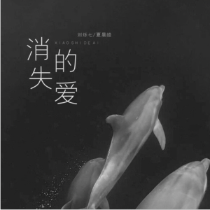 消失的爱-钢琴谱