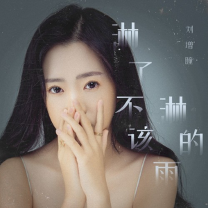 淋了不该淋的雨-钢琴谱