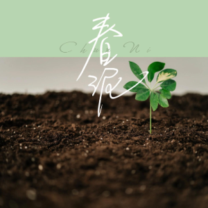 春泥 C调简易钢琴弹唱伴奏 带歌词 庾澄庆-钢琴谱