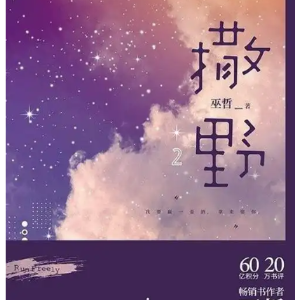 《撒野》钢琴独奏-钢琴谱