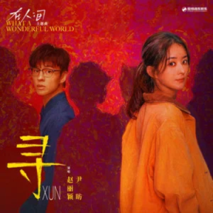 寻 (《在人间》影视剧主题曲)  C调-钢琴谱