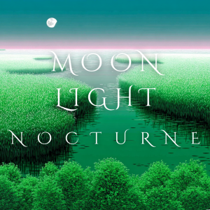 Moonlight Nocturne-钢琴谱