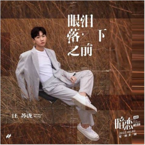 汪苏泷-眼泪落下之前《暗恋·橘生淮南》的插曲-钢琴谱