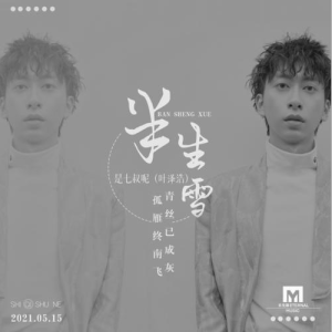 半生雪—七叔【G大调简单入门版】-钢琴谱