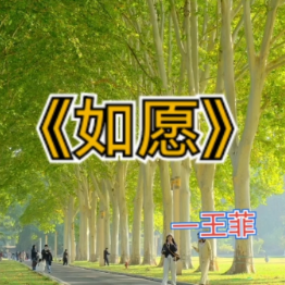 如愿钢琴简谱 数字双手