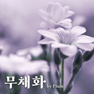 Plum新曲 무채화 (无彩花) 钢琴+小提琴扒谱分享-钢琴谱