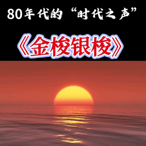 金梭和银梭钢琴简谱 数字双手