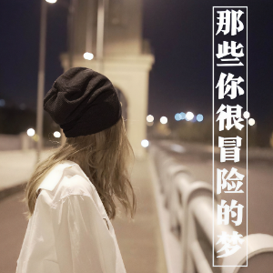 那些你很冒险的梦  C调简易钢琴弹唱伴奏 带歌词 林俊杰-钢琴谱