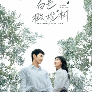 白色岛屿(实用完整版) <白色橄榄树>主题曲/片尾曲-钢琴谱
