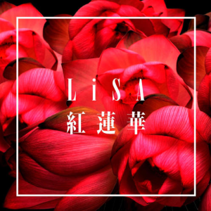 红莲华钢琴简谱 数字双手