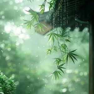 听夜雨  原调简易版 礼越-钢琴谱