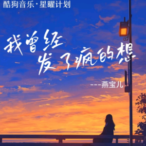 我曾经发了疯的想钢琴简谱 数字双手