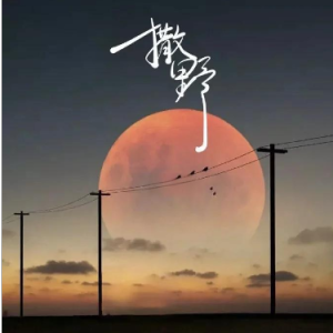 撒野 广播剧主题曲 C调简易版-钢琴谱