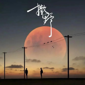撒野钢琴简谱 数字双手