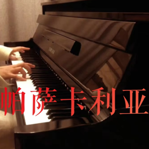 帕萨卡利亚变奏钢琴简谱 数字双手