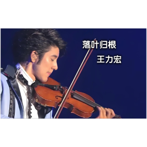 落叶归根钢琴简谱 数字双手 王力宏