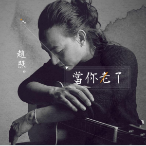 当你老了赵照C调简易版-钢琴谱