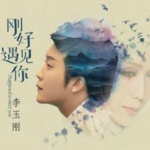 刚好遇见你-李玉刚-钢琴谱