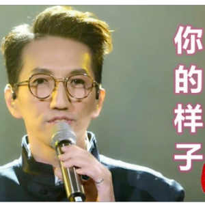 你的样子-钢琴谱
