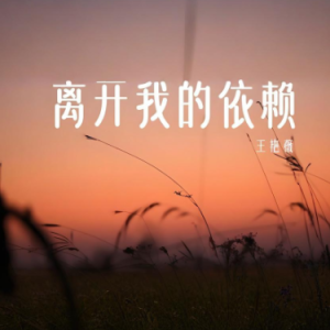 离开我的依赖 C调简易版  王艳薇-钢琴谱