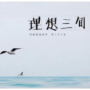 理想三旬  简易钢琴弹唱伴奏 带歌词-钢琴谱