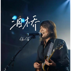 泪桥  C调简易钢琴弹唱伴奏 带歌词 伍佰-钢琴谱