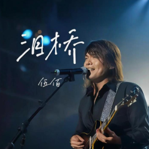泪桥  原调简易钢琴弹唱伴奏 带歌词 伍佰-钢琴谱