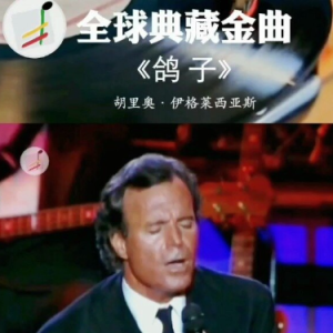 鸽子-钢琴谱