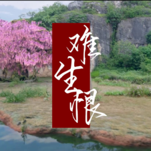 难生恨 C调简易版-钢琴谱