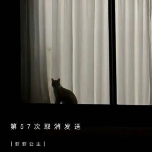 第57次取消发送 - 菲菲公主（陆绮菲）-钢琴谱