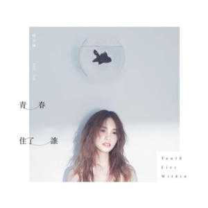 青春住了谁 C调 好听易上手-钢琴谱