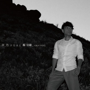 那个男人钢琴简谱 数字双手 杨宗纬