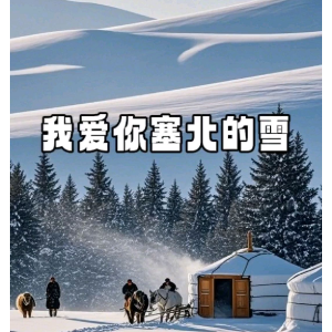 我爱你塞北的雪钢琴简谱 数字双手 王德